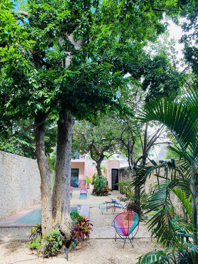 Hotelito Yum Kaax Merida Exterior photo